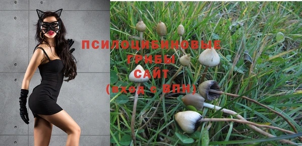 бошки Майский