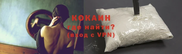 стафф Медвежьегорск