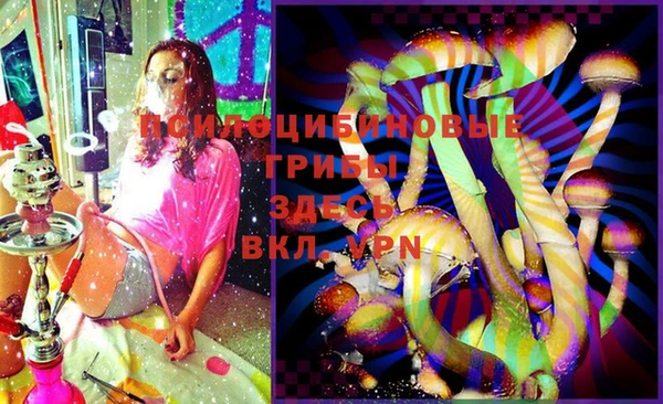 стафф Медвежьегорск