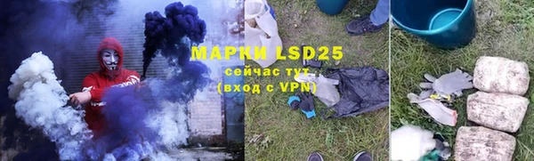 стафф Медвежьегорск