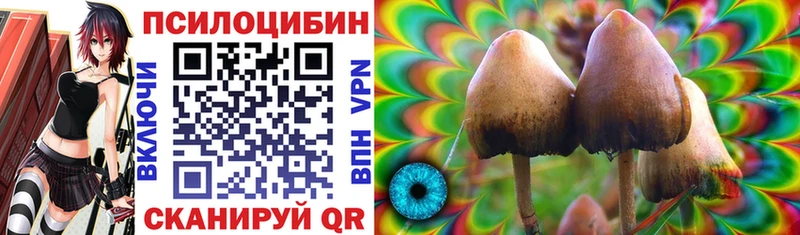 Псилоцибиновые грибы GOLDEN TEACHER  Купить  Торопец 